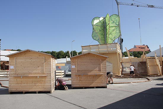 die Tanzlinde am Dorfplatz des ZLF steht jetzt endlich (©Foto. Marikka-Laila Maisel)